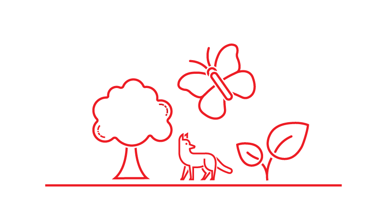 Ikon Natur - illustration