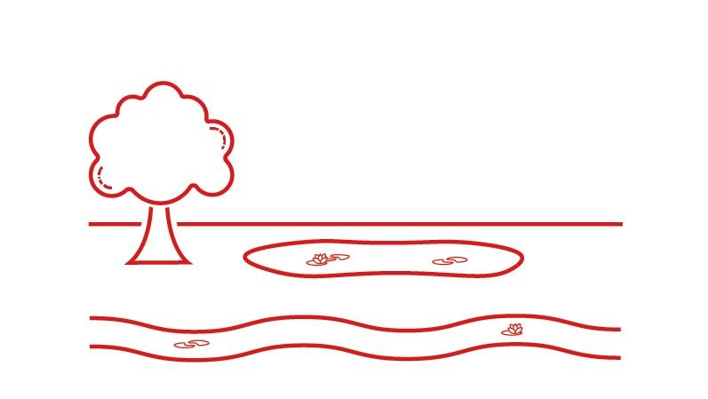 Ikon for vandløb og søer - ikoner viser en sø og et vandløb med et træ på siden  - rød stregtegning